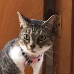 Meet your Posher, Jacqueline